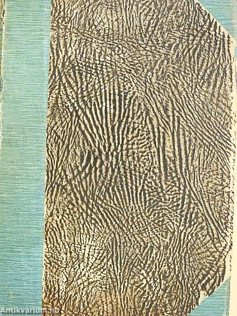 A magyar nemzeti irodalom történeti ismertetése I-II.