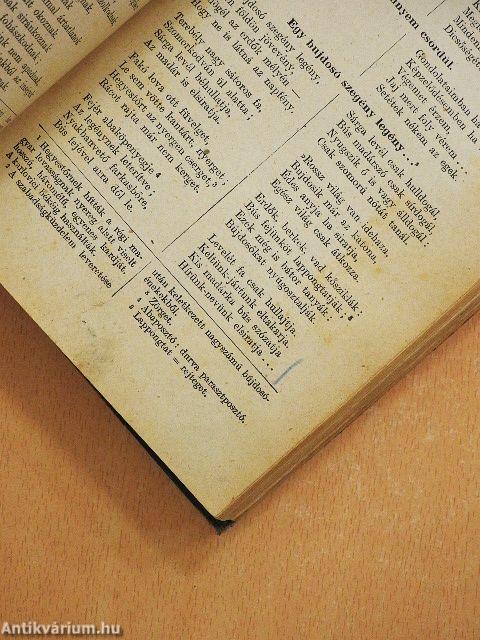 A magyar nemzeti irodalom történeti ismertetése I-II.