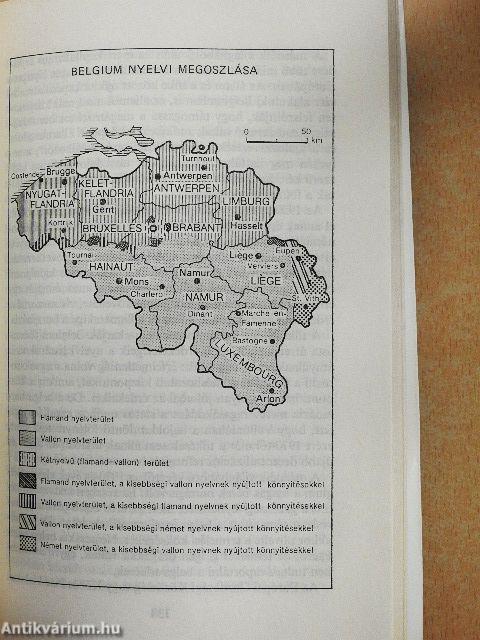 Flamandok és vallonok