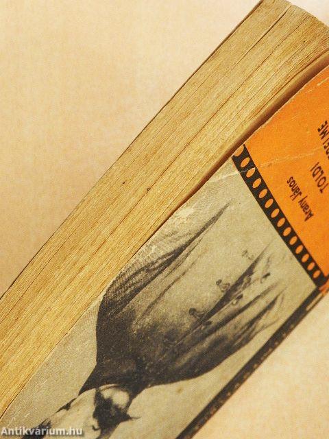 Toldi/Toldi szerelme/Toldi estéje