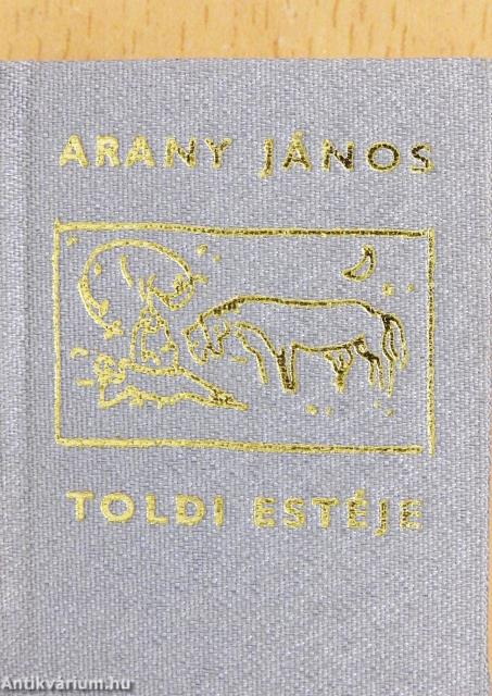 Toldi estéje (minikönyv)