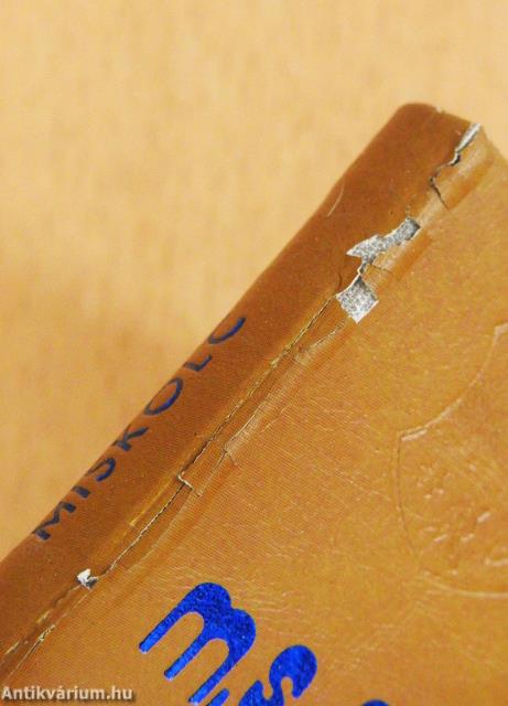 Miskolc (minikönyv)