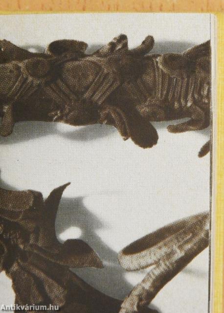 Bőrmunkák (minikönyv)