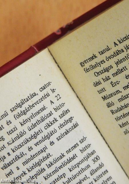 Rudabánya (minikönyv) (számozott)