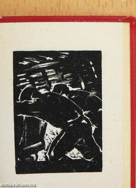 Rudabánya (minikönyv) (számozott)