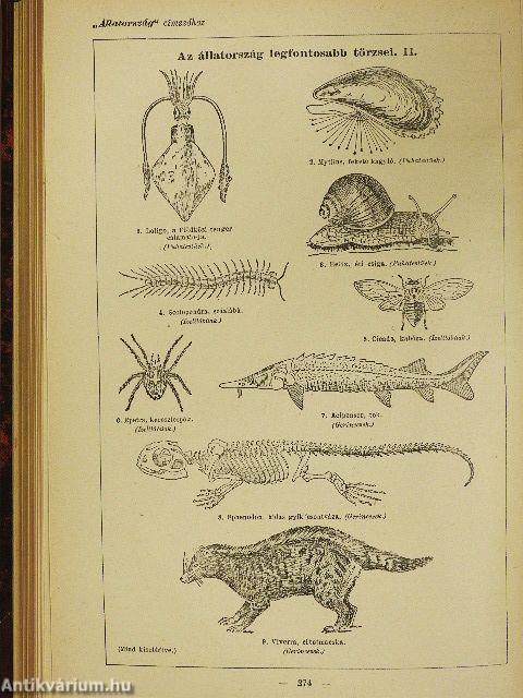 Uj idők lexikona 1-24.