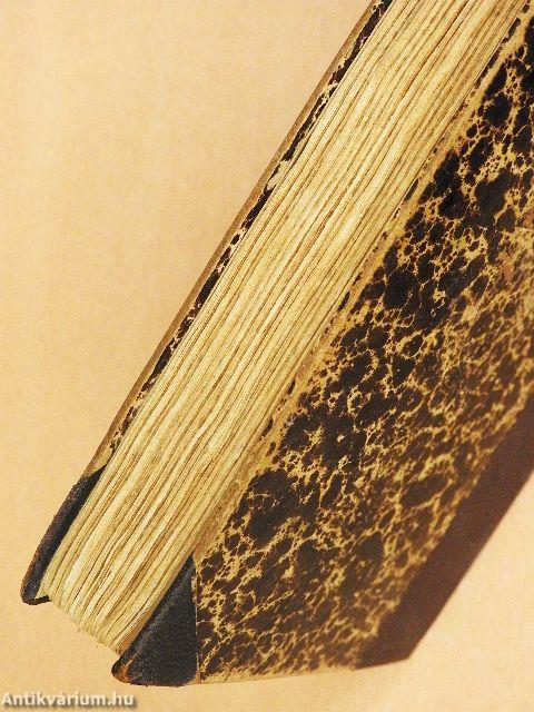 A kölcsönkért kastély