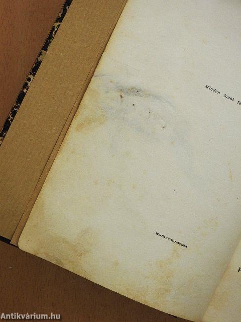 A kölcsönkért kastély