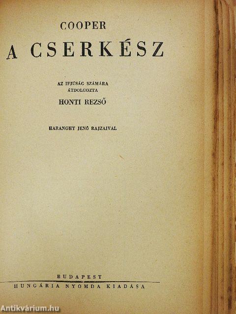 A nagy indiánuskönyv (rossz állapotú)