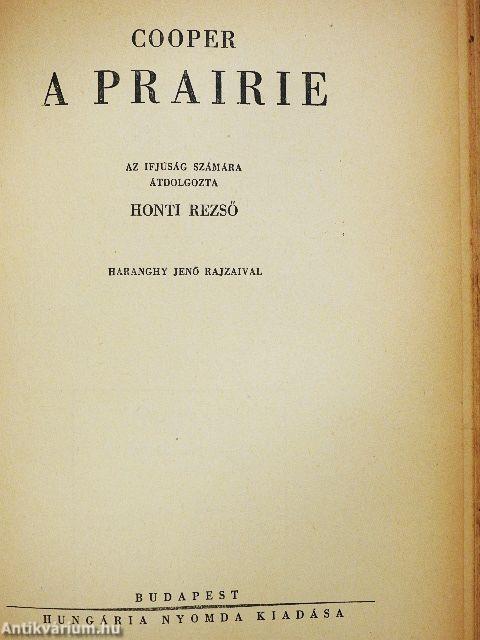 A nagy indiánuskönyv (rossz állapotú)