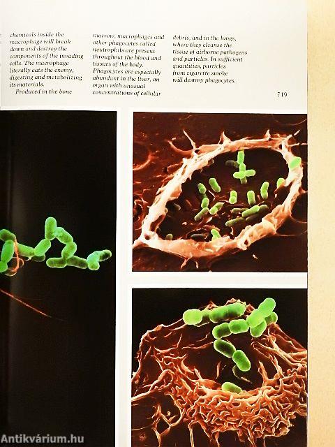 National Geographic June 1986