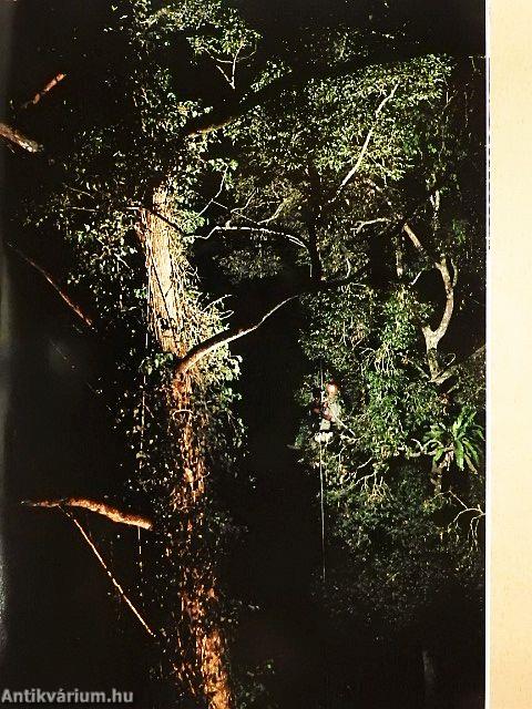 National Geographic October 2001