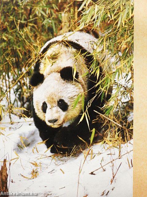 National Geographic March 1986