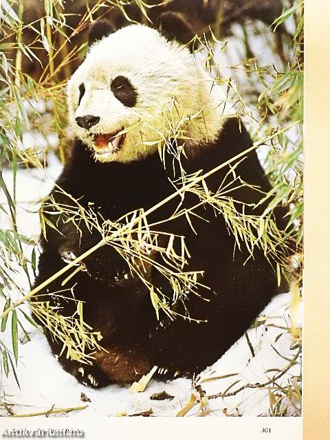 National Geographic March 1986