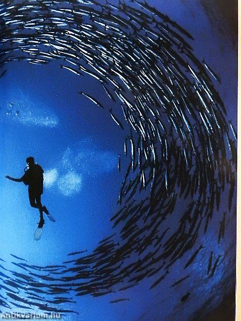 National Geographic April 1988