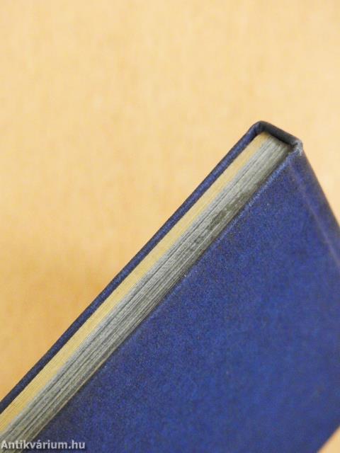 Budapest (minikönyv)