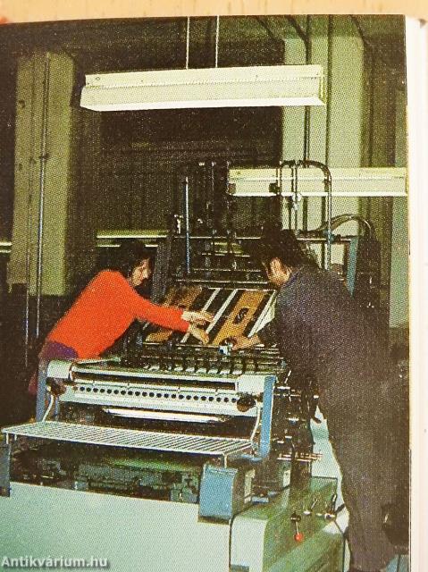 30 esztendő (minikönyv)