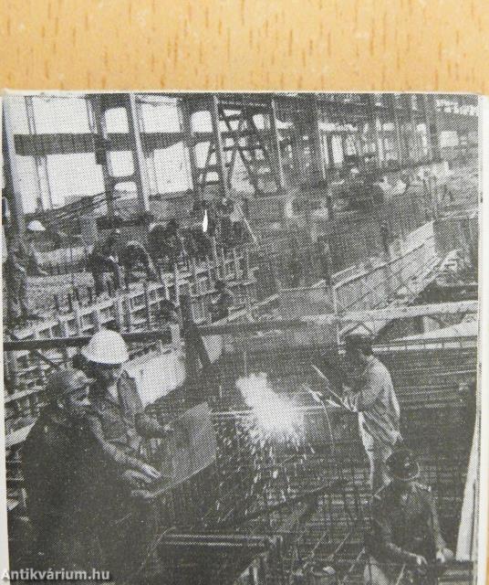 Védőpajzsunk (minikönyv) (számozott)