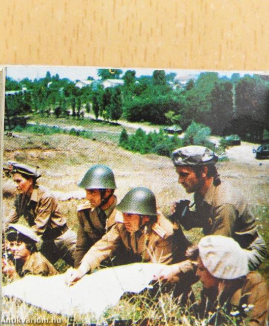 Védőpajzsunk (minikönyv) (számozott)