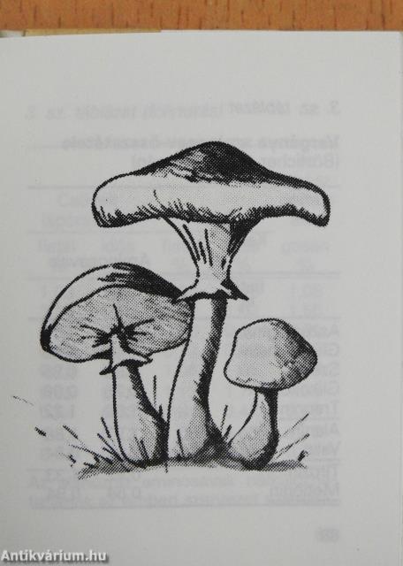 Gombagyűjtők szakácskönyve I-II. (minikönyv) (számozott)