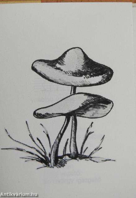 Gombagyűjtők szakácskönyve I-II. (minikönyv) (számozott)