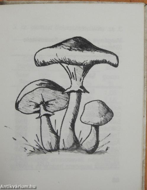Gombagyűjtők szakácskönyve I-II. (minikönyv)