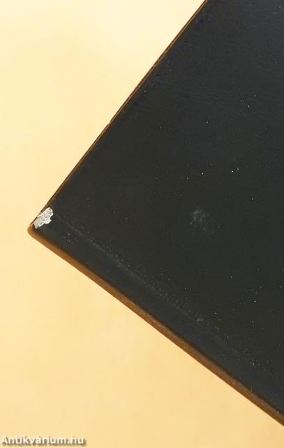 Remedia (minikönyv)