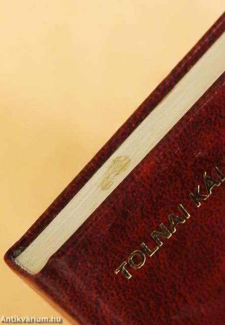 Vadon termő gyümölcsök (minikönyv)