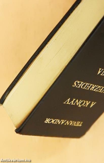 A könyv évezredes útja (minikönyv)