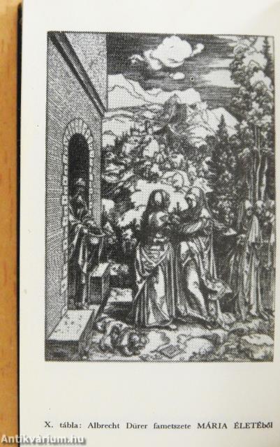 A könyv évezredes útja (minikönyv)