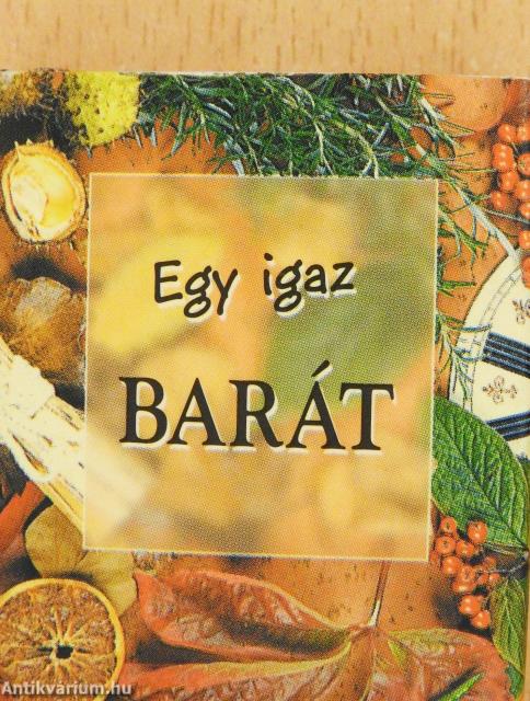 Egy igaz barát (minikönyv)
