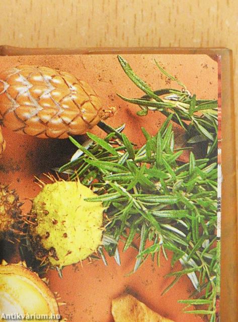 Egy igaz barát (minikönyv)