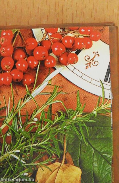 Egy igaz barát (minikönyv)