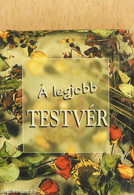 A legjobb testvér (minikönyv)