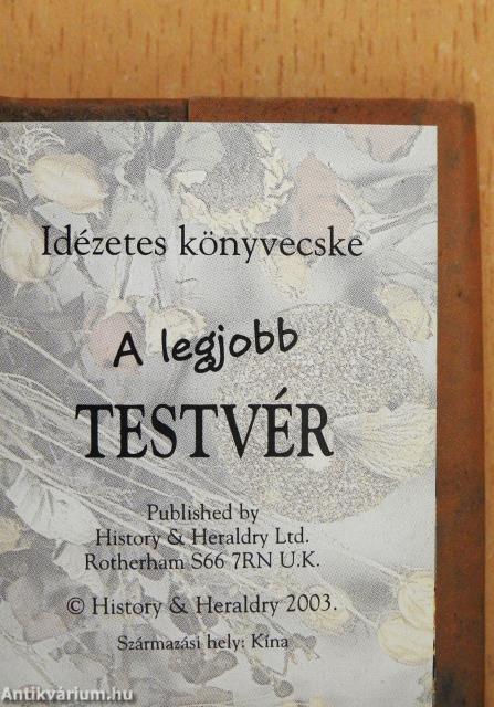 A legjobb testvér (minikönyv)