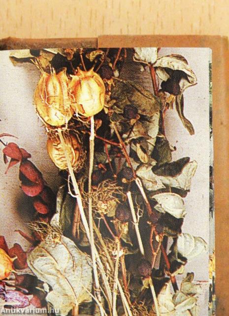 A legjobb testvér (minikönyv)