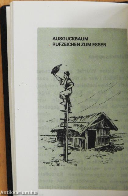 Hirtenküche-Hirtengerichte (minikönyv)