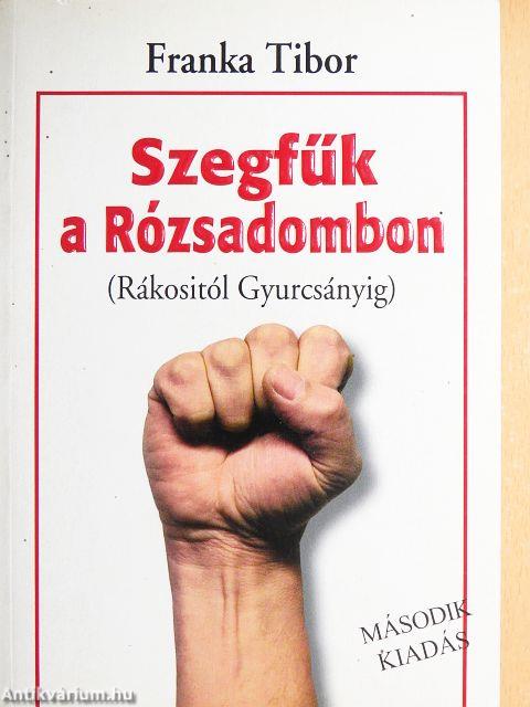Szegfűk a Rózsadombon