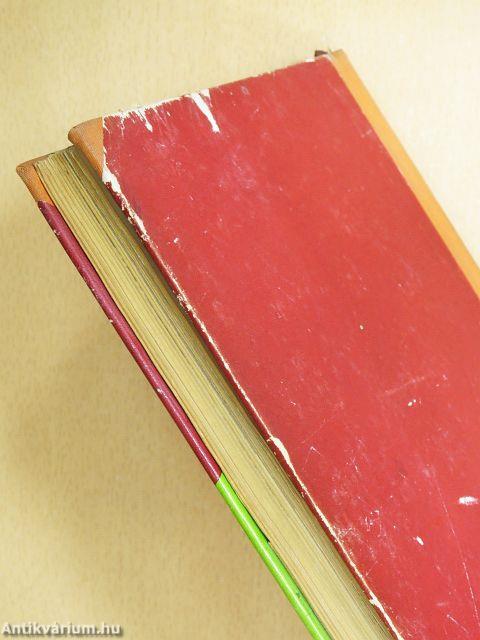 Így láttam a kapuból