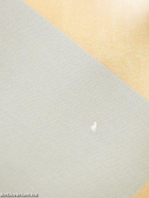 Kivándorló magyarok az Egyesült Államokban 1880-1940