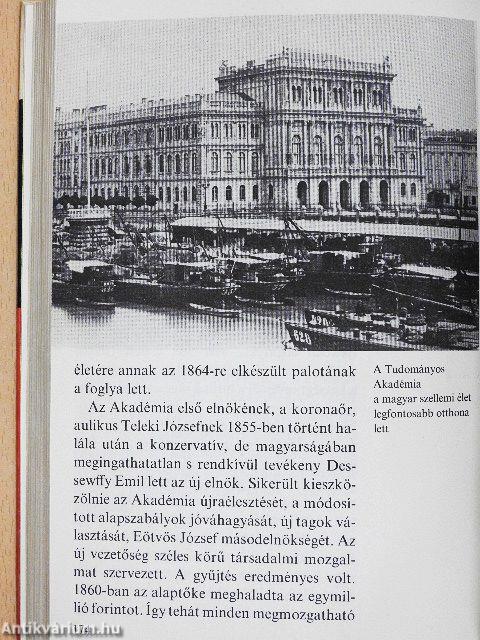 Így élt Arany János