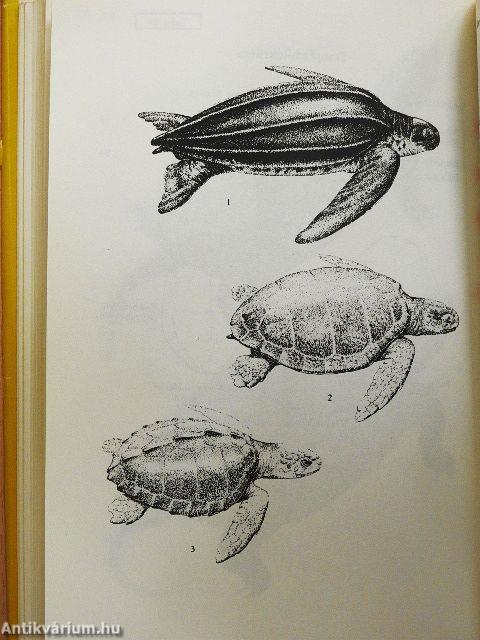 Pareys Reptilien- und Amphibienführer Europas