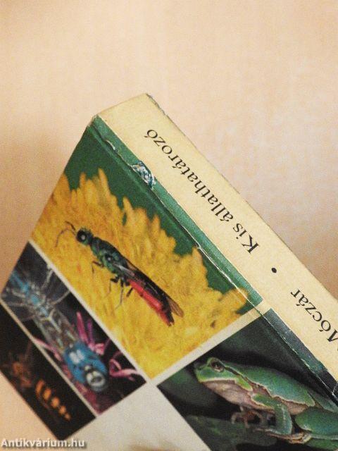 Kis állathatározó