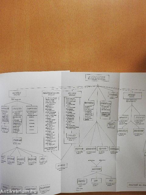 Politika, társadalom, gazdaság a Magyar Rádióban 1953-1956