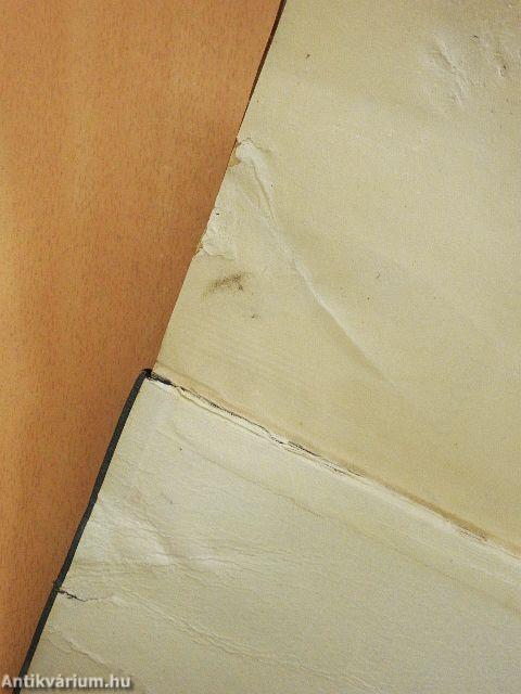 Kőrösi Csoma Sándor (rossz állapotú)