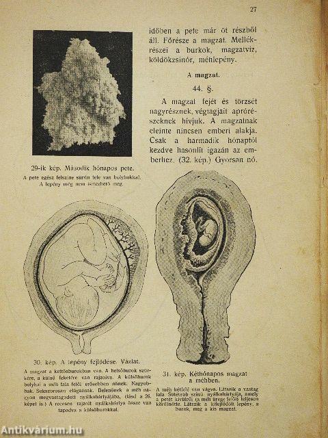 Bábakönyv (rossz állapotú)
