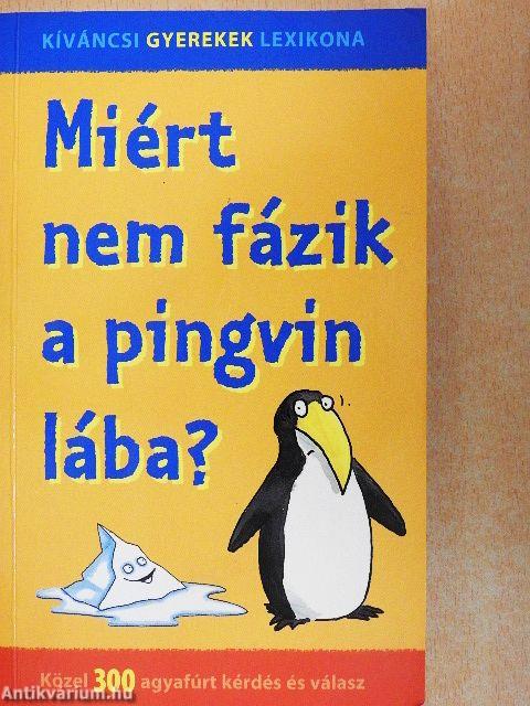 Miért nem fázik a pingvin lába?