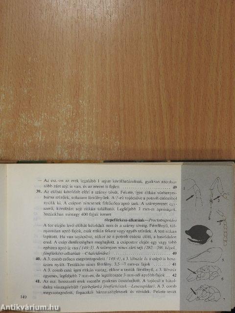 Kis állathatározó