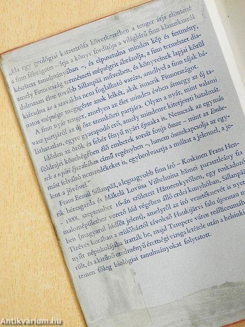 Emberek a nyári éjszakában