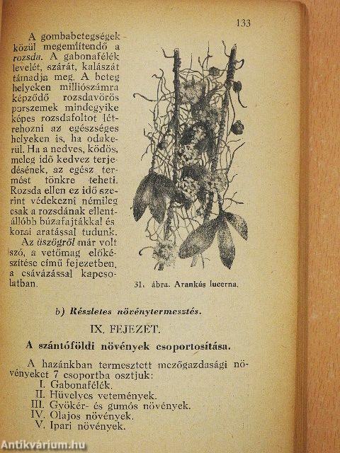 Gazdasági alapismeretek